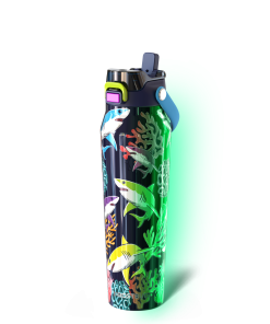Bottle Buddy 32oz | Neon Coast