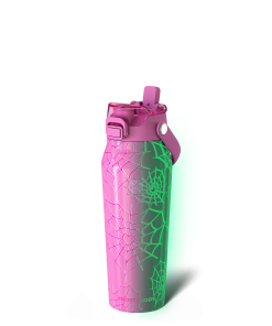 Bottle Buddy 24oz | Pink Widow