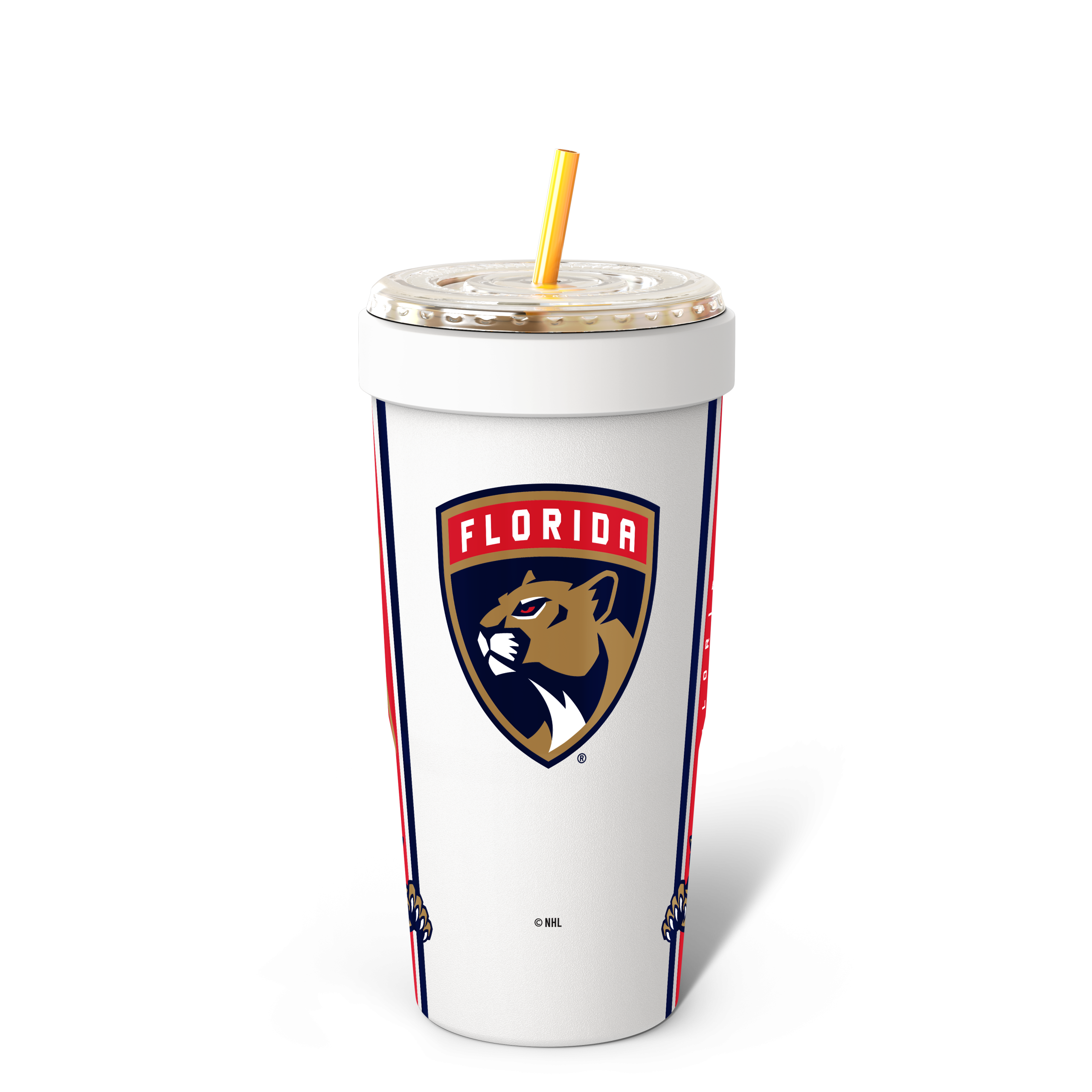 Florida_Panthers_Back_copy.png