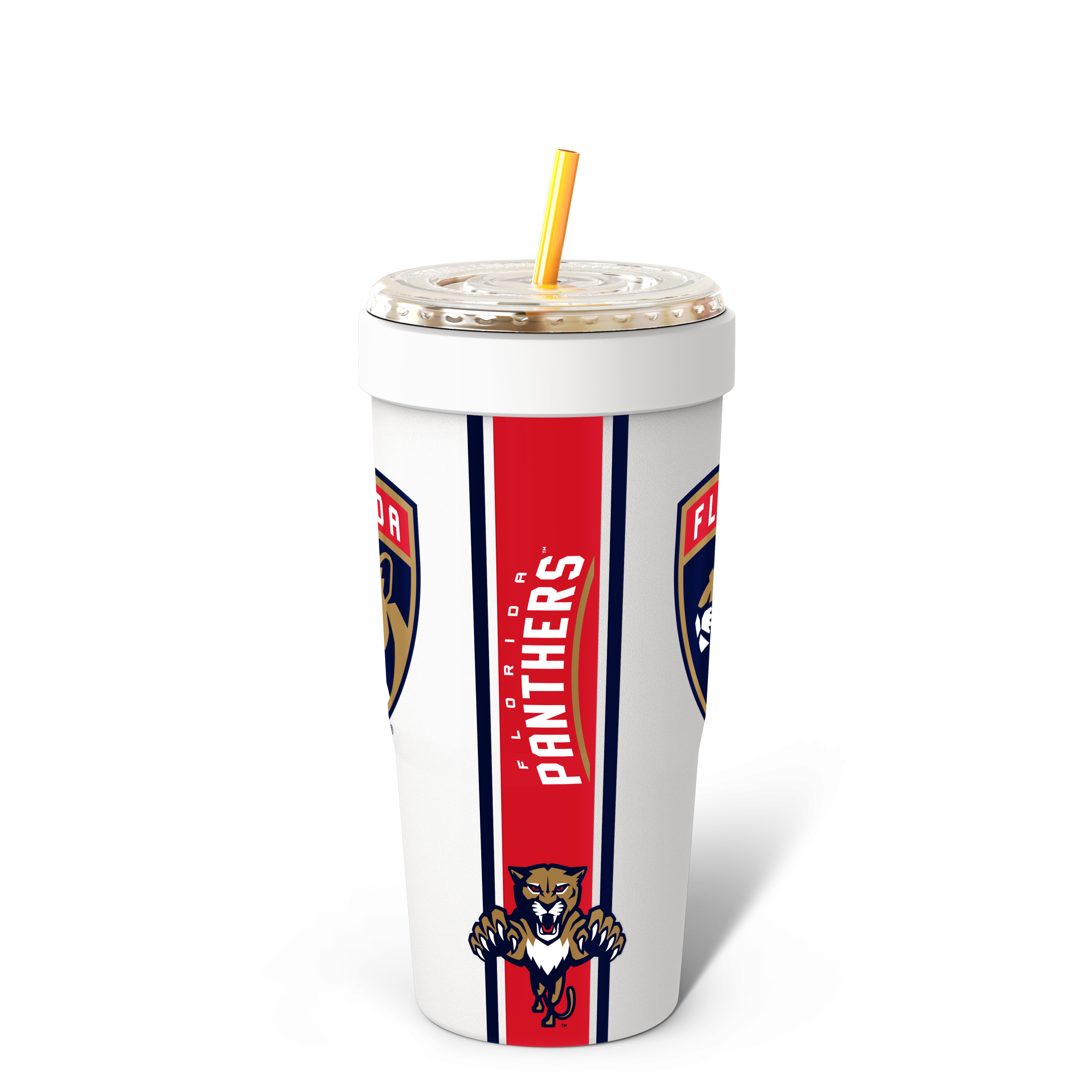 Florida_Panthers_copy.png