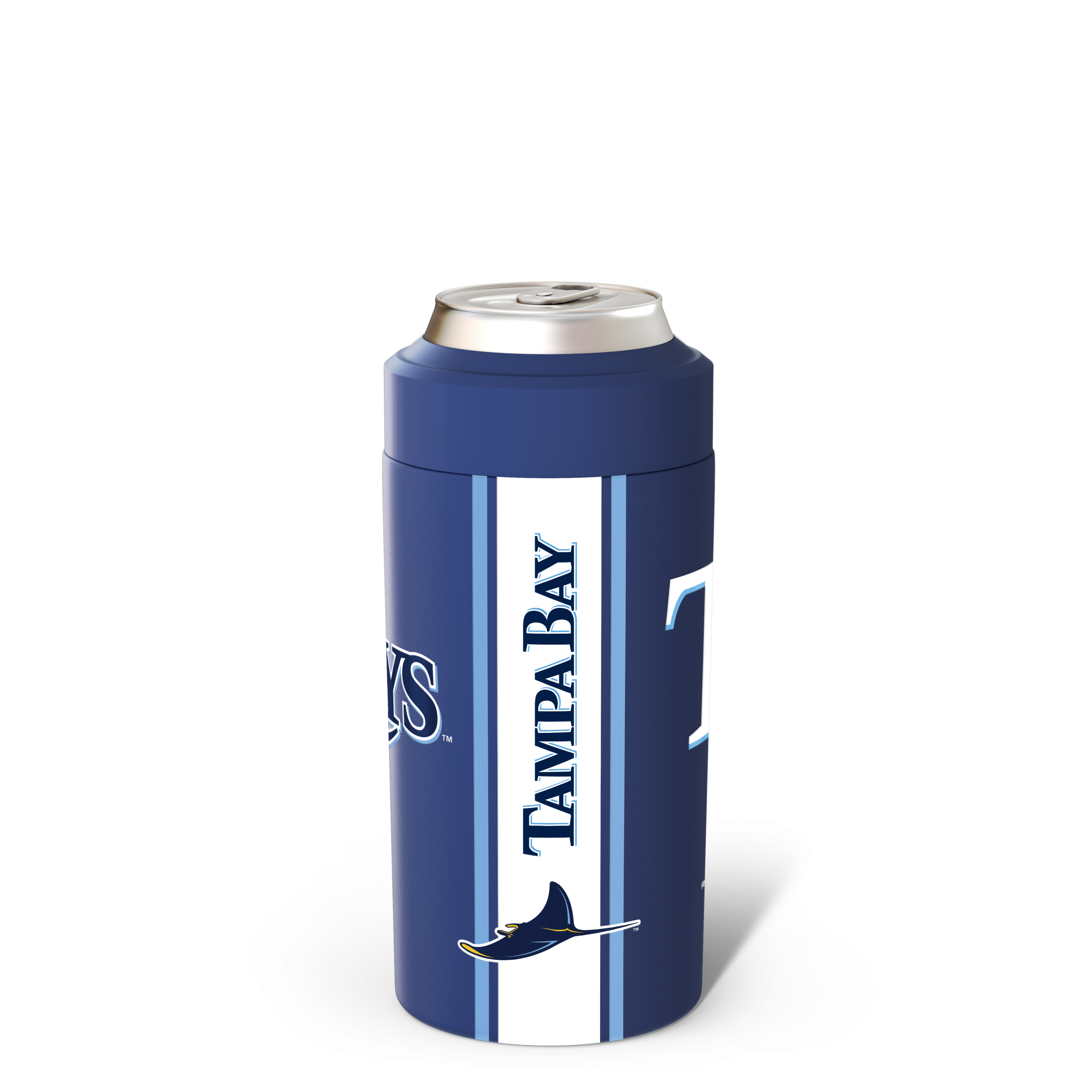 Tampa_Bay_Rays.png