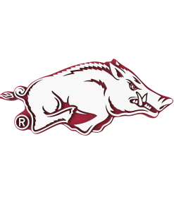 Budz | Arkansas Razorbacks