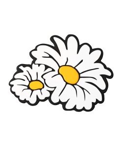 Budz | Daisies