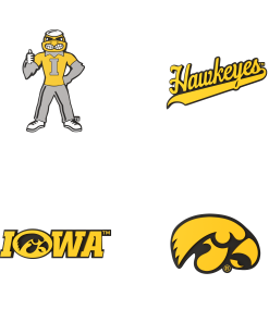 Budz | Iowa Hawkeyes | 4-Pack Bundle